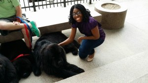 #100HappyDays - Day 10 Petting Newfoundlands